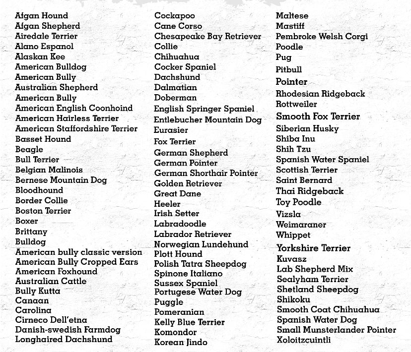 DOG PORTRAITS - Petals & Thread